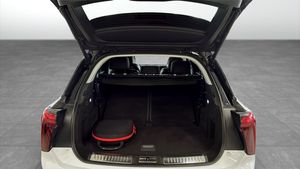 Hongqi E-HS9 bild 10