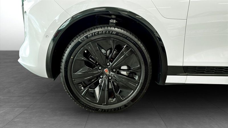 Hongqi E-HS9 bild 9