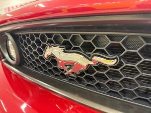 Ford Mustang bild 20