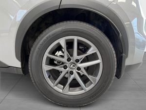 Lexus LBX bild 14