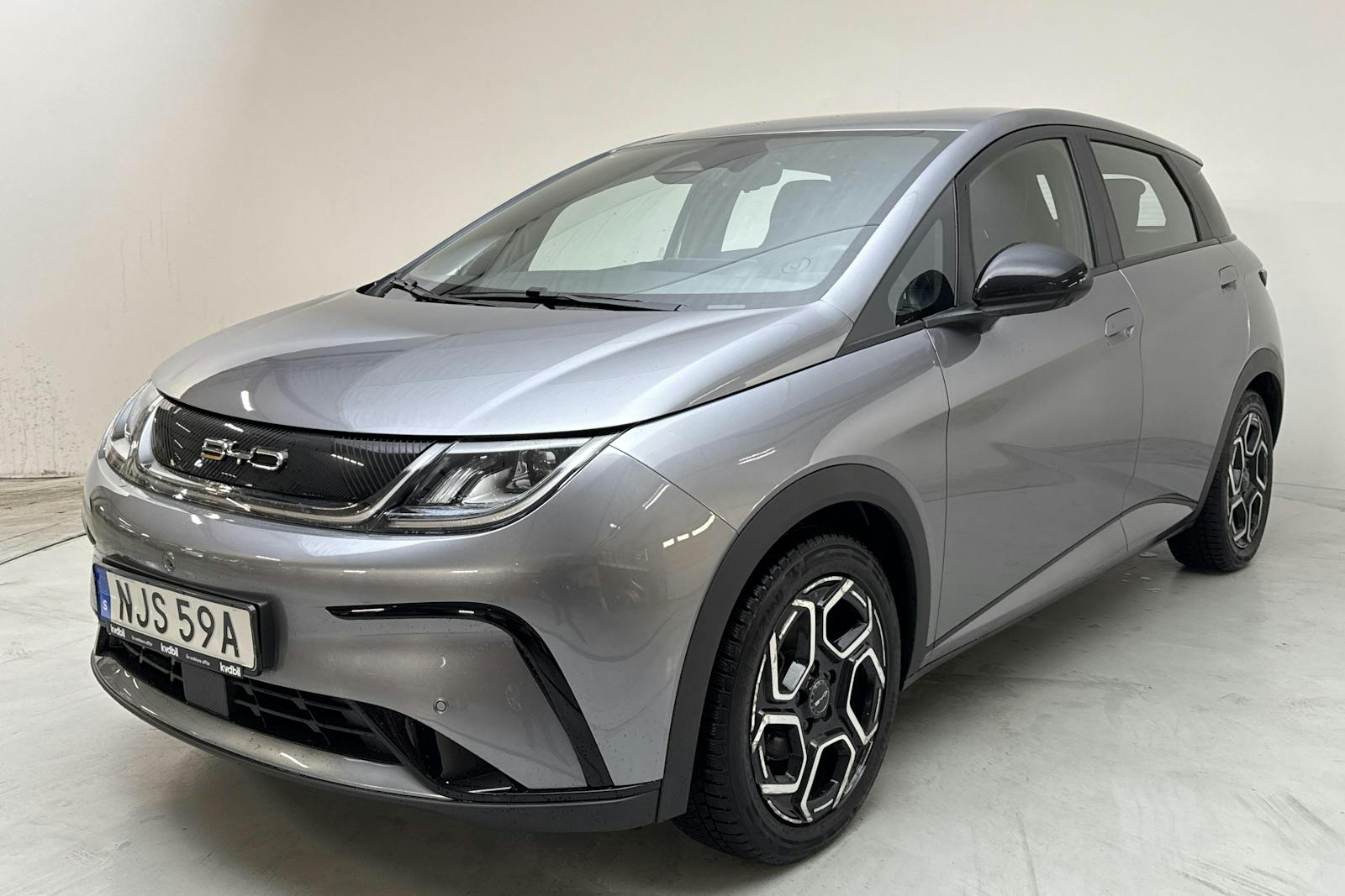 BYD Dolphin