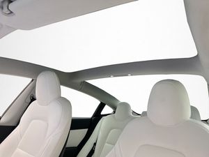 Tesla Model 3 bild 19