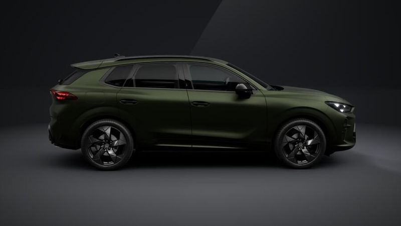 Cupra Terramar bild 3