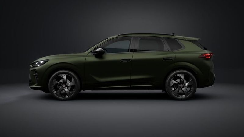 Cupra Terramar bild 4