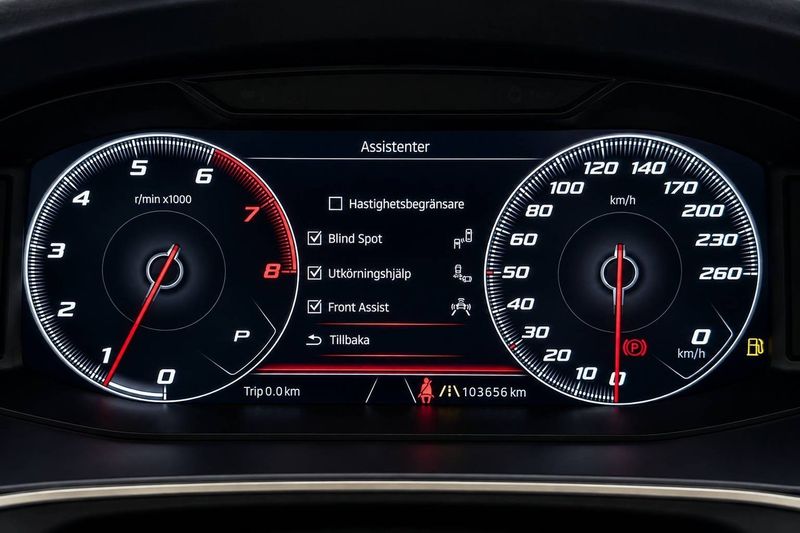 Seat Tarraco bild 28