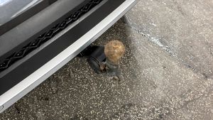 Seat Tarraco bild 8