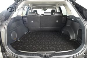 Toyota RAV4 bild 9