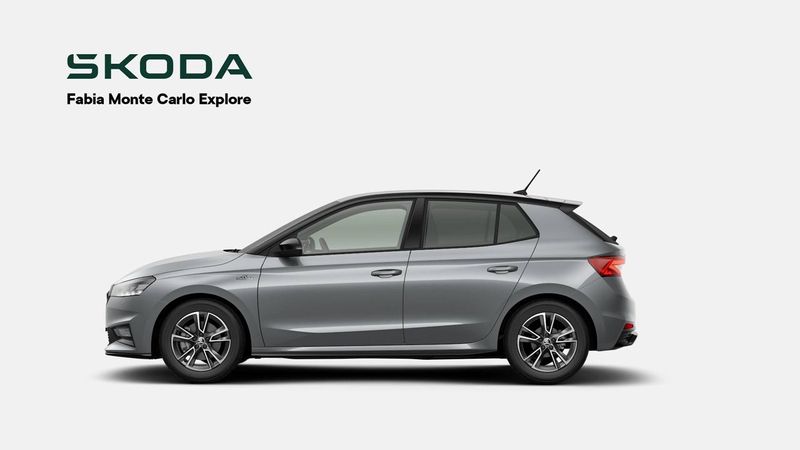 Skoda Fabia bild 3
