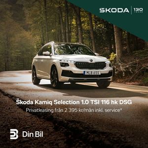 Skoda Kamiq bild 4