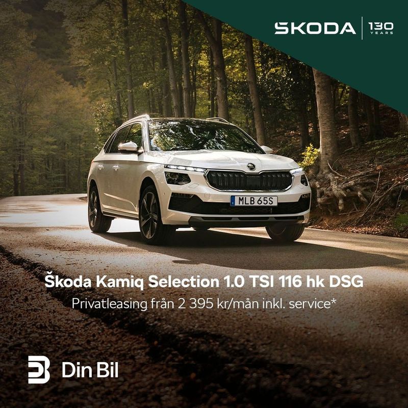 Skoda Kamiq bild 4