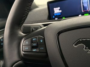 Ford Mustang Mach-E bild 22