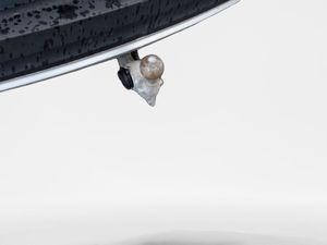 Volvo XC40 bild 12