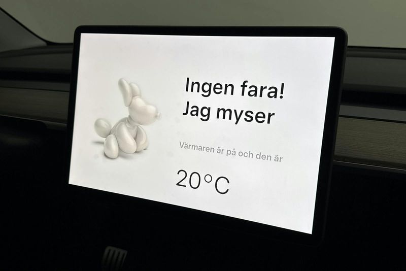 Tesla Model Y bild 15