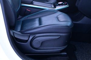 Kia e-Niro bild 15