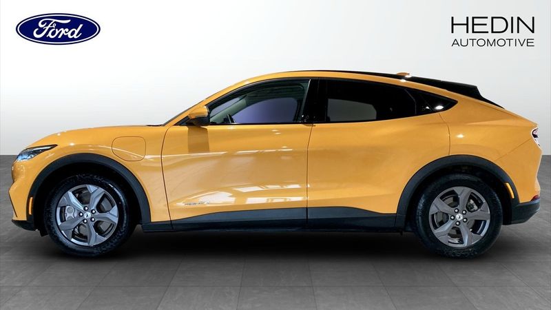 Ford Mustang Mach-E bild 6