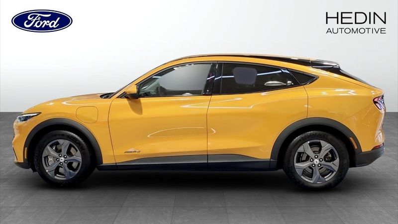 Ford Mustang Mach-E bild 6