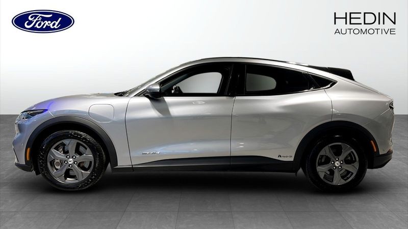 Ford Mustang Mach-E bild 6