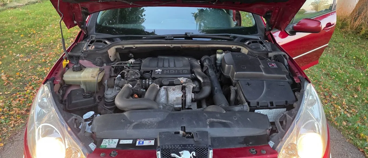 Peugeot 407 bild 16