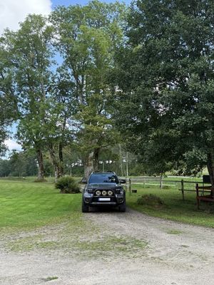 Ford Ranger bild 7