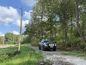 Ford Ranger bild 4