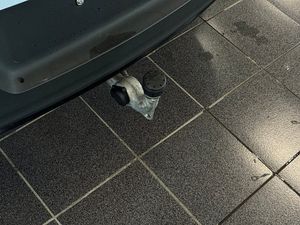 Volvo XC40 bild 17