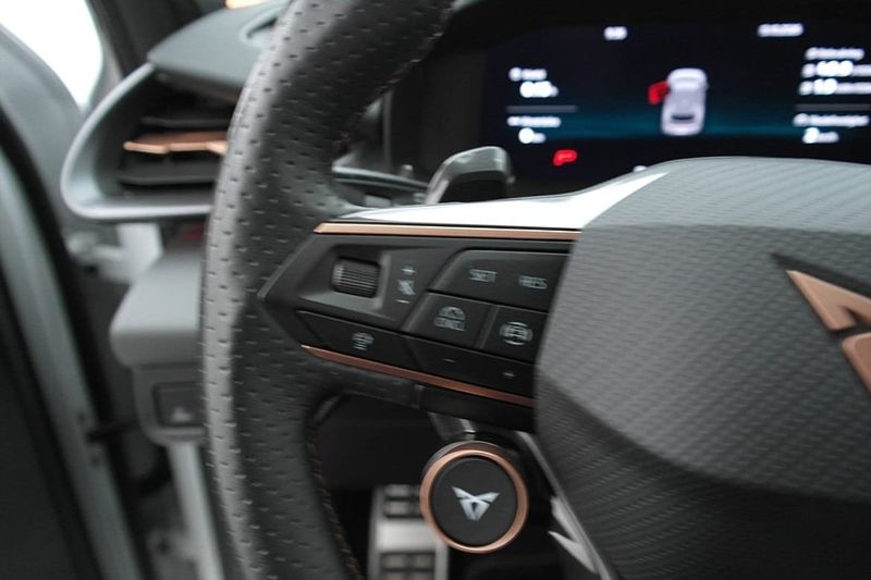 Cupra Terramar bild 11