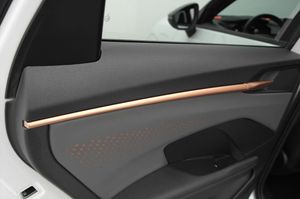 Cupra Terramar bild 25