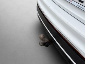 Volkswagen Tiguan bild 10