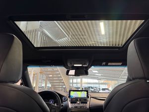 Lexus NX bild 10