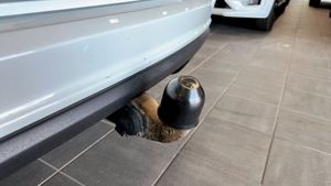 Volkswagen Tiguan bild 17