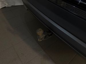 Skoda Enyaq bild 21