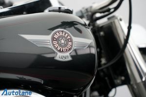 Harley-Davidson Fat Boy bild 22