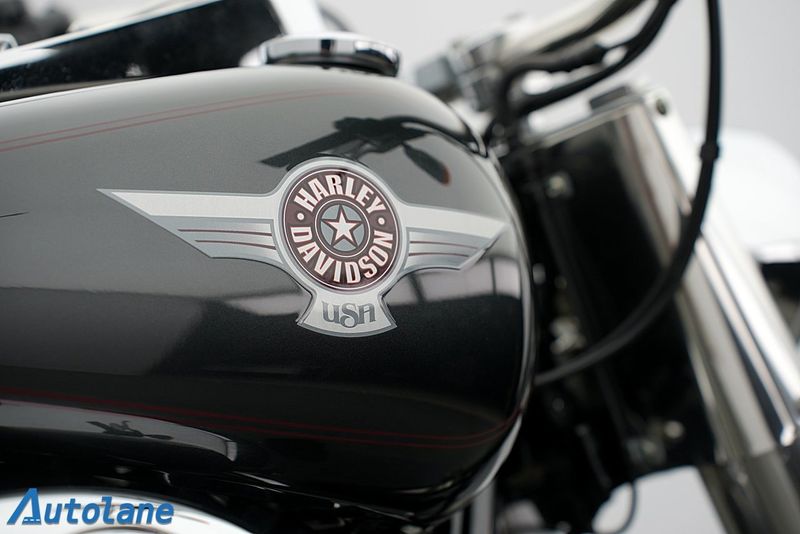 Harley-Davidson Fat Boy bild 22