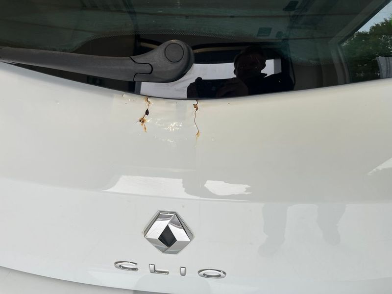 Renault Clio bild 6