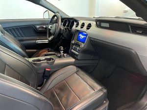Ford Mustang bild 15
