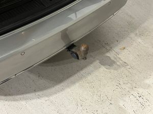 Volkswagen Passat bild 13