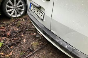 Renault Kangoo bild 10