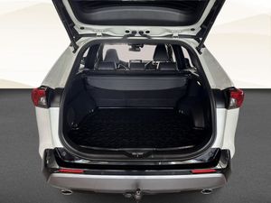 Toyota RAV4 bild 13