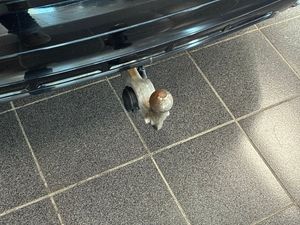 Volvo XC60 bild 19
