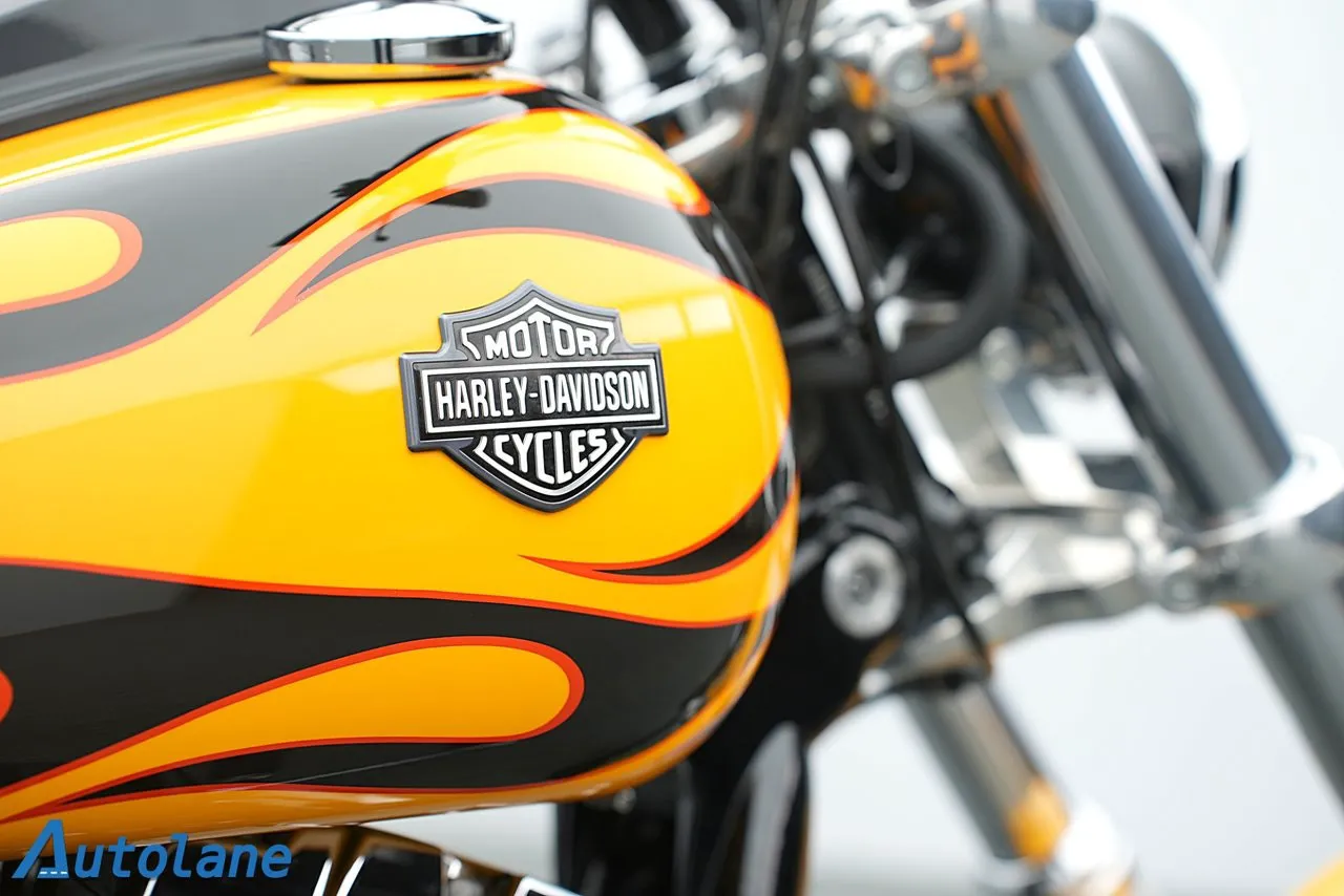 Harley-Davidson Dyna Wide Glide bild 20