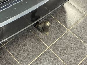 BMW 340 bild 18
