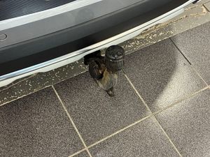 Audi A4 Allroad bild 17