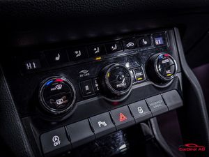 Skoda Kodiaq bild 20