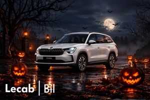 Skoda Kodiaq bild 1