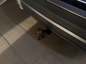 Skoda Enyaq bild 18