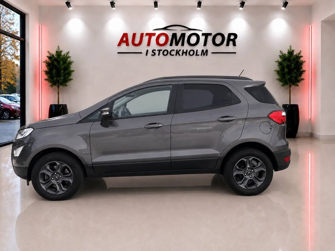 Ford Ecosport bild 7