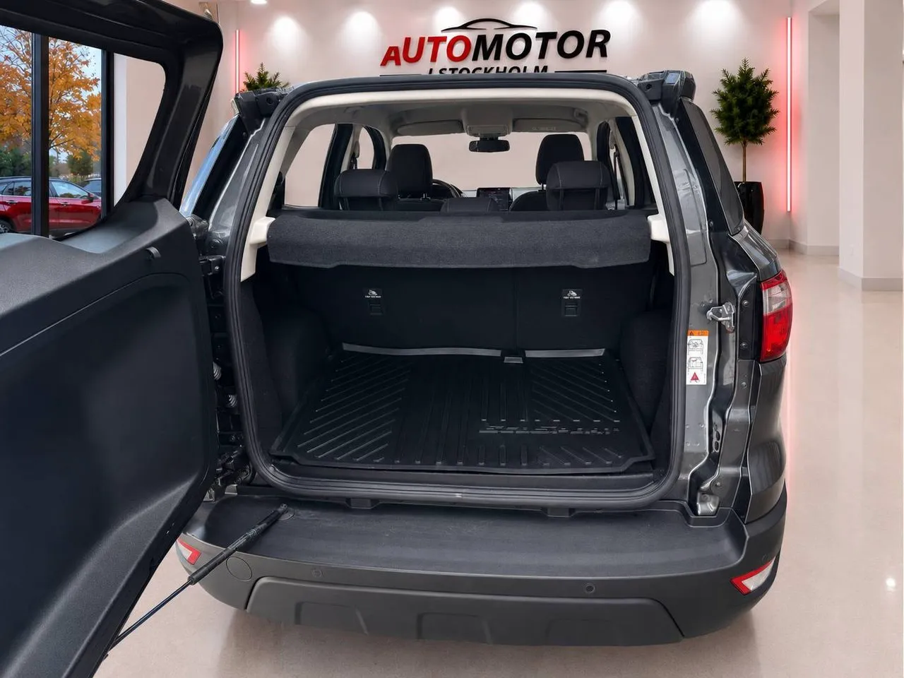 Ford Ecosport bild 10