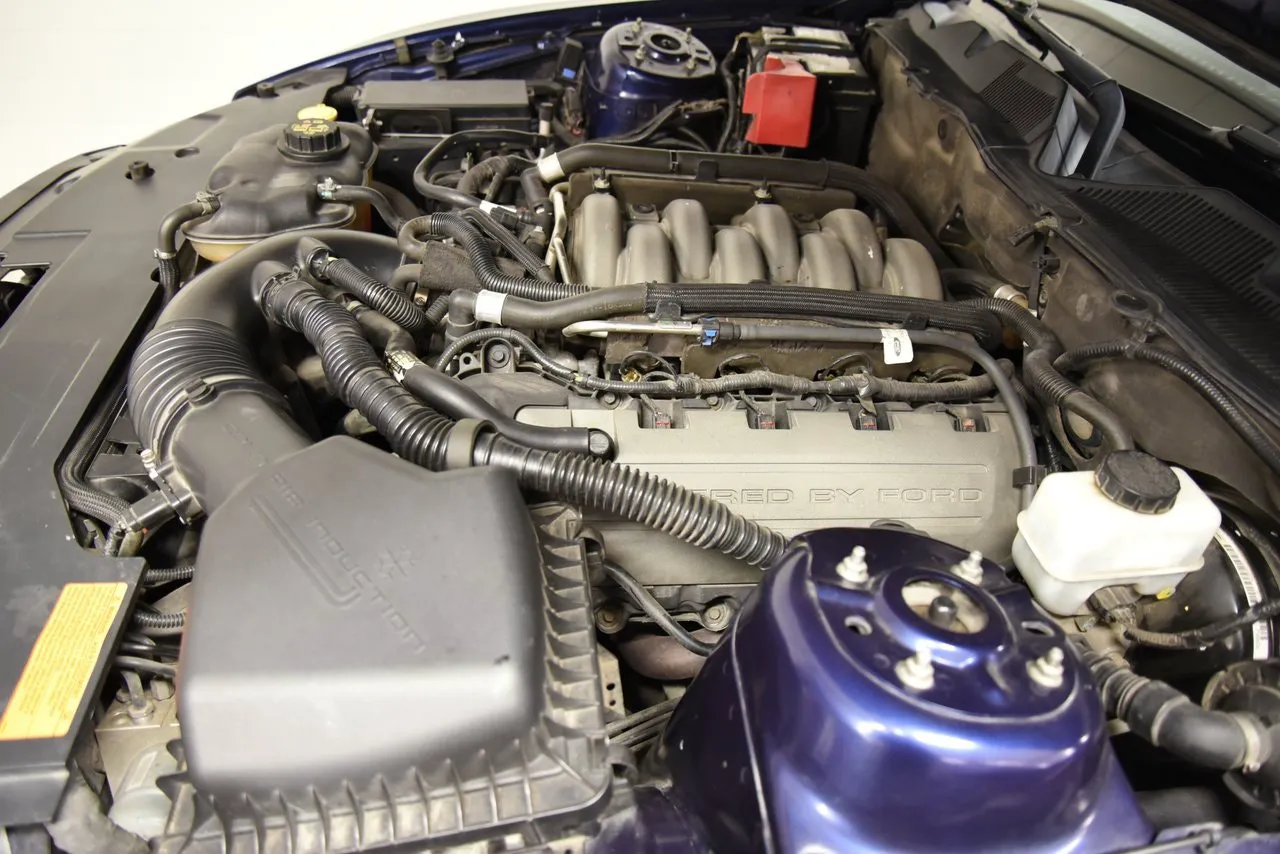 Ford Mustang bild 18