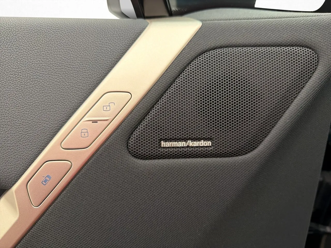 BMW iX bild 18