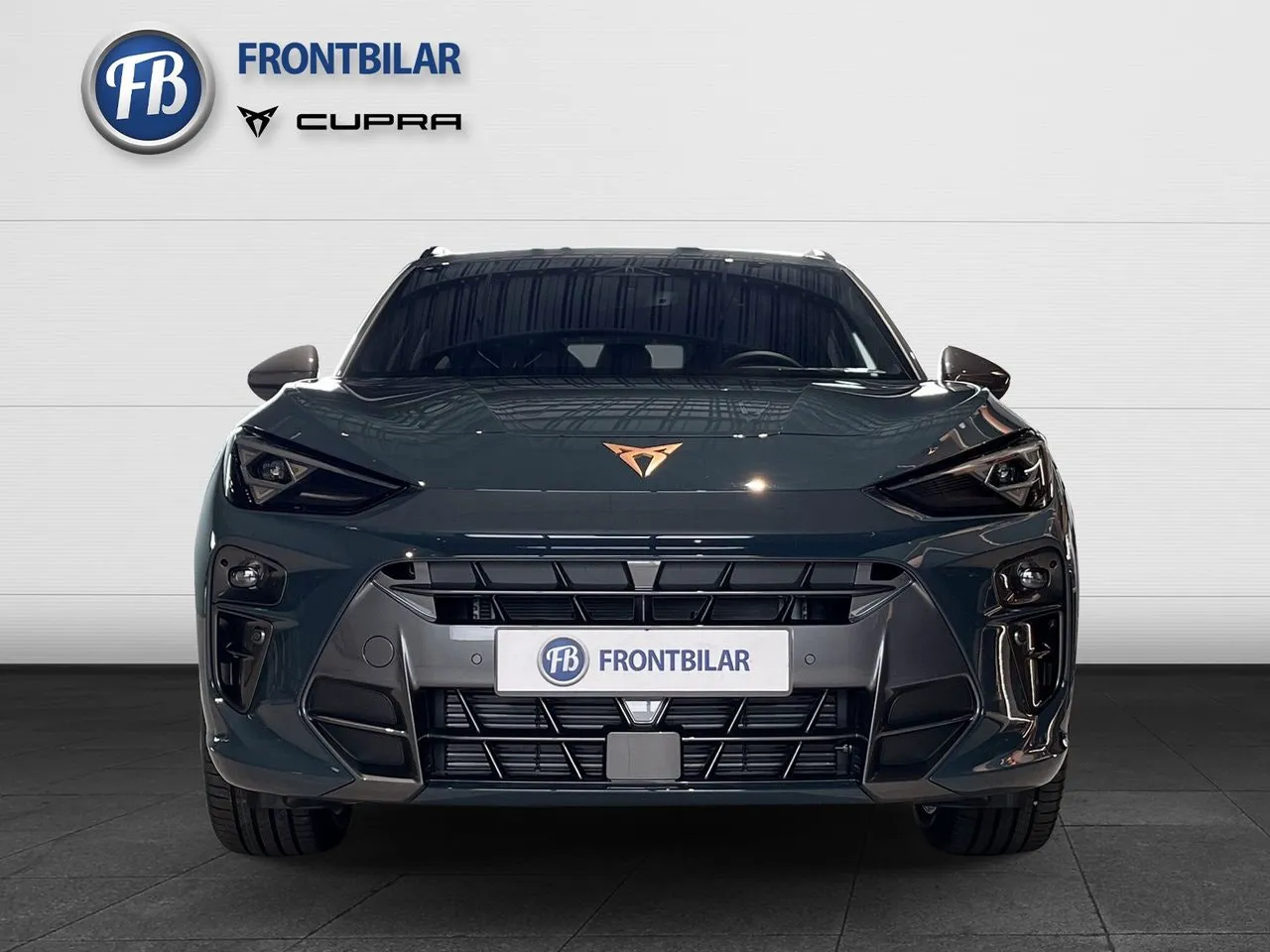 Cupra Terramar bild 2